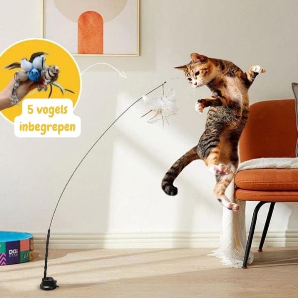 CatCatch™ Katten Speelgoedset  | Gesimuleerde vogel - Inclusief 5 extra vogels - Interactief - Urenlang Speelplezier -  Eenvoudig te installeren