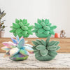 LushCush™ - Vetplant Sierkussen | Op Planten Geïnspireerde Decoratie - Schattig - Zacht -  Comfort - Fleurt elke Ruimte op - Perfect als Cadeau