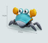 CuteCrab™ - Wandelende Krab | Met Sensoren en Muziek - Urenlang Speelplezier - Zelfsturend | USB Herlaadbaar