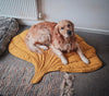 ComfyWoof™ - Bladvorm Mat en Deken l Laat jouw hond comfortabel en zacht relaxen of slapen op de mat