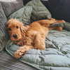 ComfyWoof™ - Bladvorm Mat en Deken l Laat jouw hond comfortabel en zacht relaxen of slapen op de mat