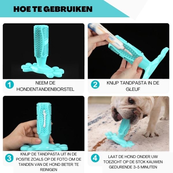 ParaHondist™  | De gezonde 🦷 reiniging met grip van jouw huisdier