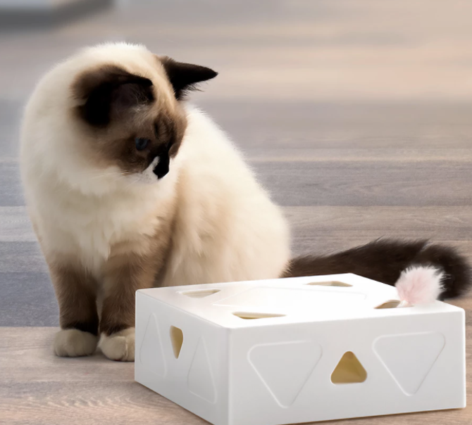 FunCatBox™ | Eindeloos plezier voor je kat 🐾