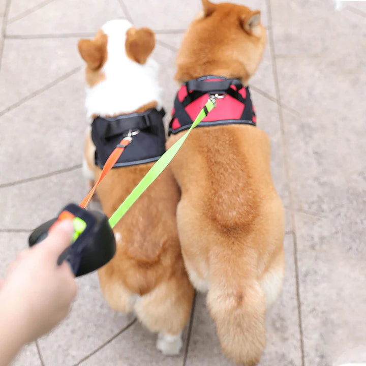 DualWoof™ Intrekbaar Hondenriem – Eén handbediening l Vlotte controle | Incl. Zaklamp + Hondenzakhouder