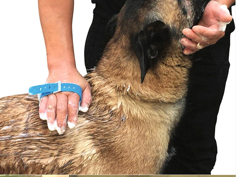 PupWash™ - Handborstel – Sproeier + Schrobber l Multifunctionele borstel voor jouw 🐶