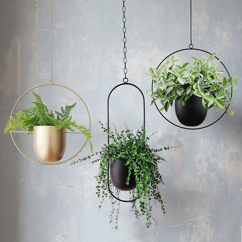 AirPlant™ – Plantenhanger | Decoratie – Scandinavisch – Strakke Uitstraling – Eenvoudig Ophangen – Past in Elke Ruimte