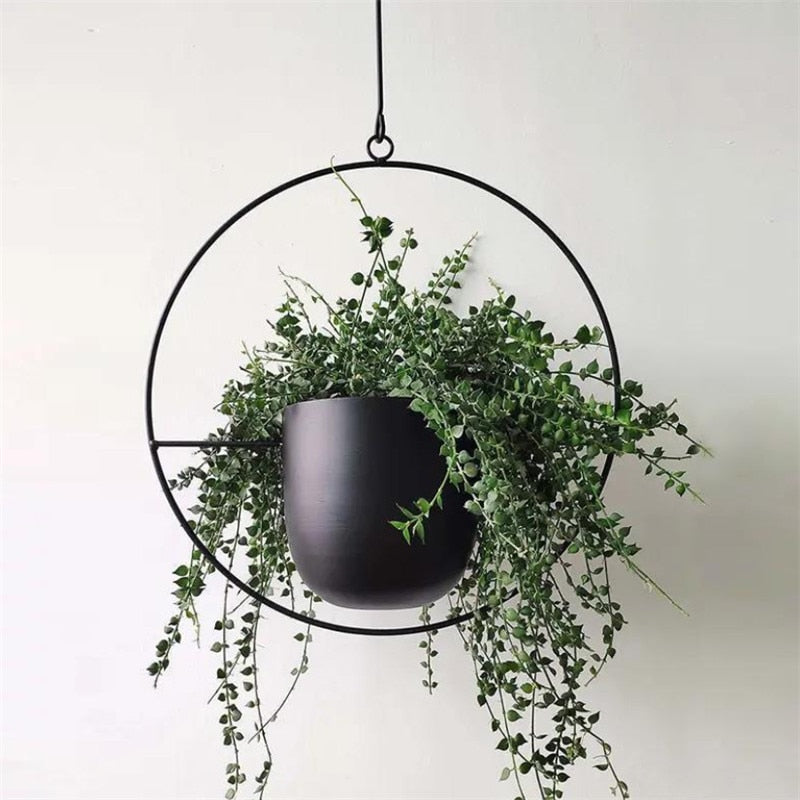 AirPlant™ – Plantenhanger | Decoratie – Scandinavisch – Strakke Uitstraling – Eenvoudig Ophangen – Past in Elke Ruimte