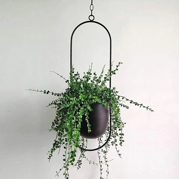 AirPlant™ – Plantenhanger | Decoratie – Scandinavisch – Strakke Uitstraling – Eenvoudig Ophangen – Past in Elke Ruimte