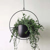 AirPlant™ – Plantenhanger | Decoratie – Scandinavisch – Strakke Uitstraling – Eenvoudig Ophangen – Past in Elke Ruimte