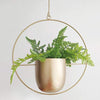 AirPlant™ – Plantenhanger | Decoratie – Scandinavisch – Strakke Uitstraling – Eenvoudig Ophangen – Past in Elke Ruimte