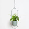 AirPlant™ – Plantenhanger | Decoratie – Scandinavisch – Strakke Uitstraling – Eenvoudig Ophangen – Past in Elke Ruimte