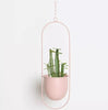 AirPlant™ – Plantenhanger | Decoratie – Scandinavisch – Strakke Uitstraling – Eenvoudig Ophangen – Past in Elke Ruimte