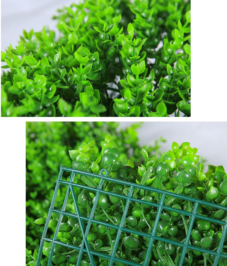 Buxus Indoor én Outdoor Plantenpaneel 60x40cm | Een groene muur ZONDER onderhoud