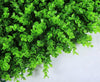 Buxus Indoor én Outdoor Plantenpaneel 60x40cm | Een groene muur ZONDER onderhoud