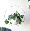 AirPlant™ – Plantenhanger | Decoratie – Scandinavisch – Strakke Uitstraling – Eenvoudig Ophangen – Past in Elke Ruimte